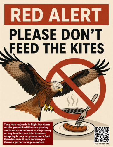 red kites appeal